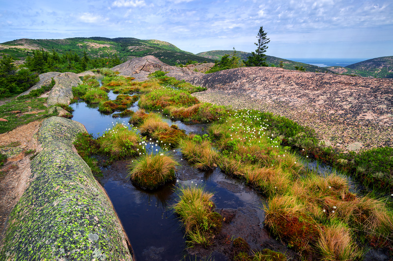 Cadillac South Ridge Trail (Acadia National Park)