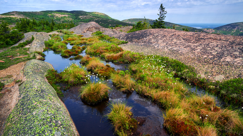 Cadillac South Ridge Trail (Acadia National Park)
