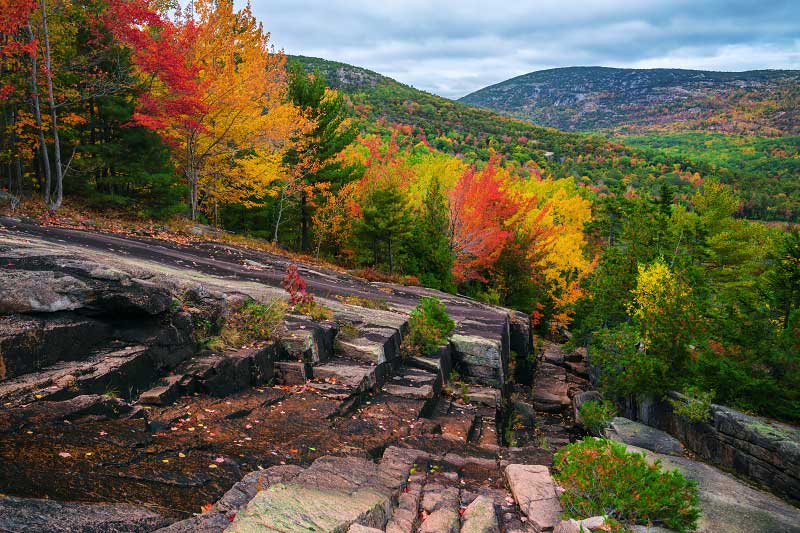 Canon Brook Trail and A. Murray Young Path (Acadia National Park)