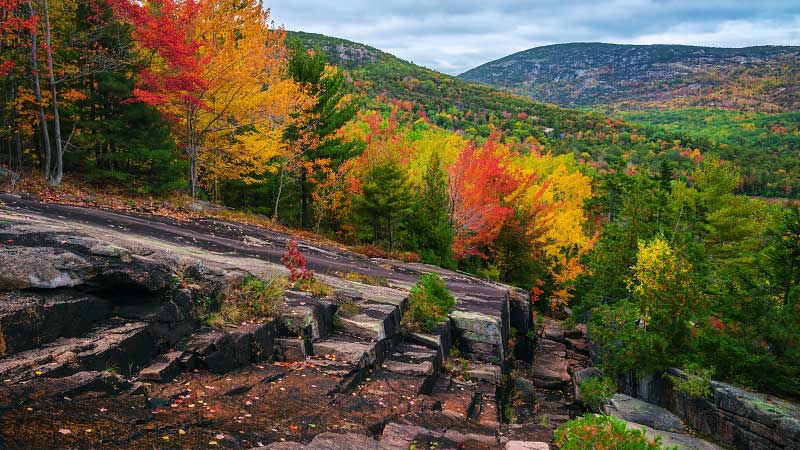 Canon Brook Trail and A. Murray Young Path (Acadia National Park)