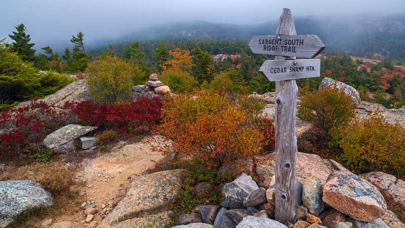 Cedar Swamp Mountain (Acadia National Park)