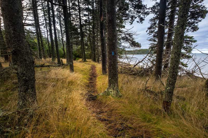 Duck Harbor Trail (Acadia National Park)