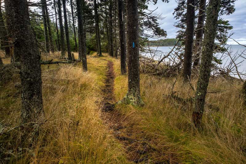 Duck Harbor Trail (Acadia National Park)