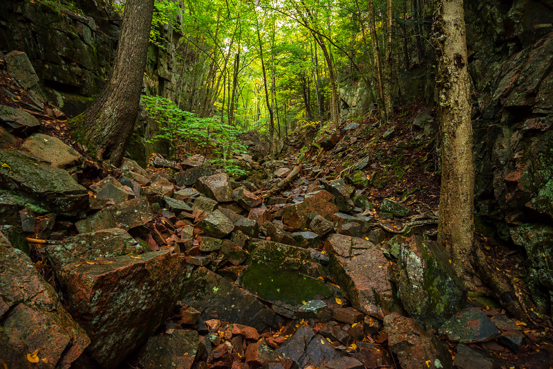 Gorge Path to Cadillac Mountain (Acadia National Park)