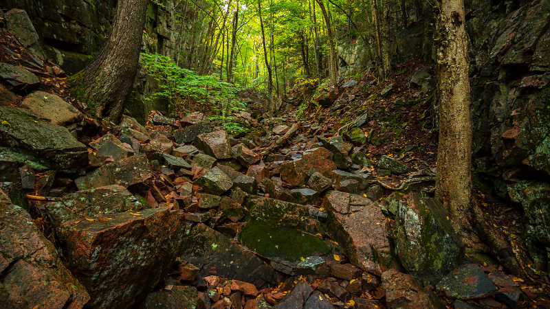 Gorge Path to Cadillac Mountain (Acadia National Park)