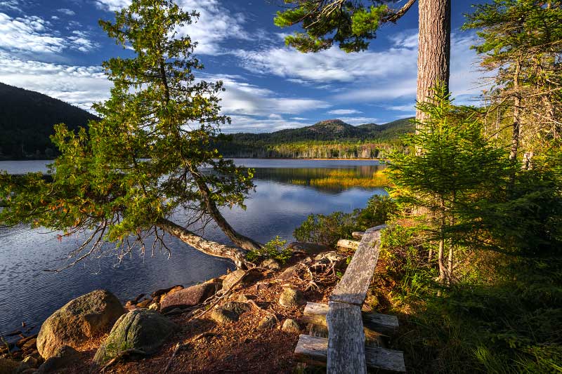 Hadlock Ponds Trail (Acadia National Park)
