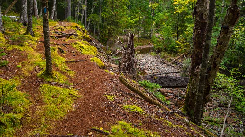 Hunters Brook Trail (Acadia National Park)