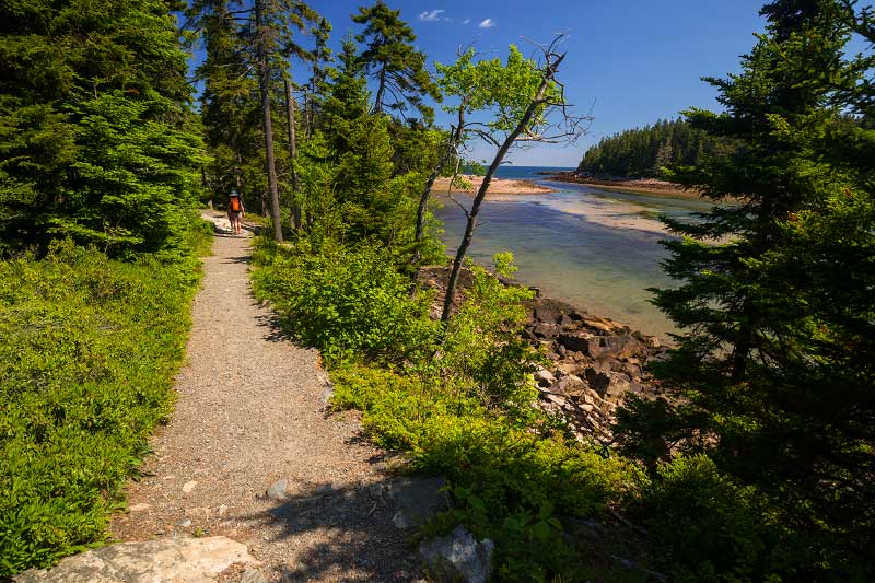 Ship Harbor Trail (Acadia National Park)