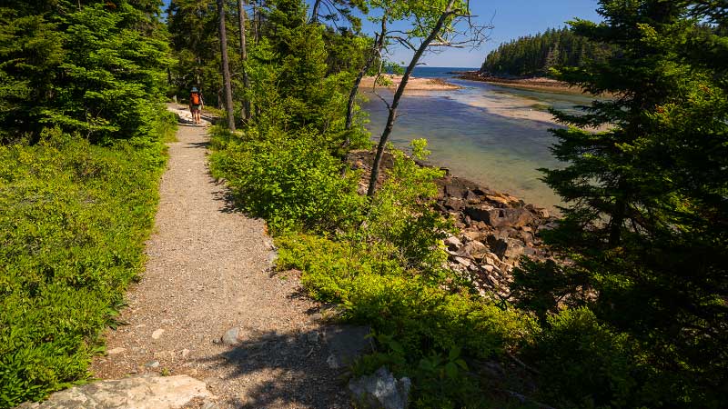 Ship Harbor Trail (Acadia National Park)
