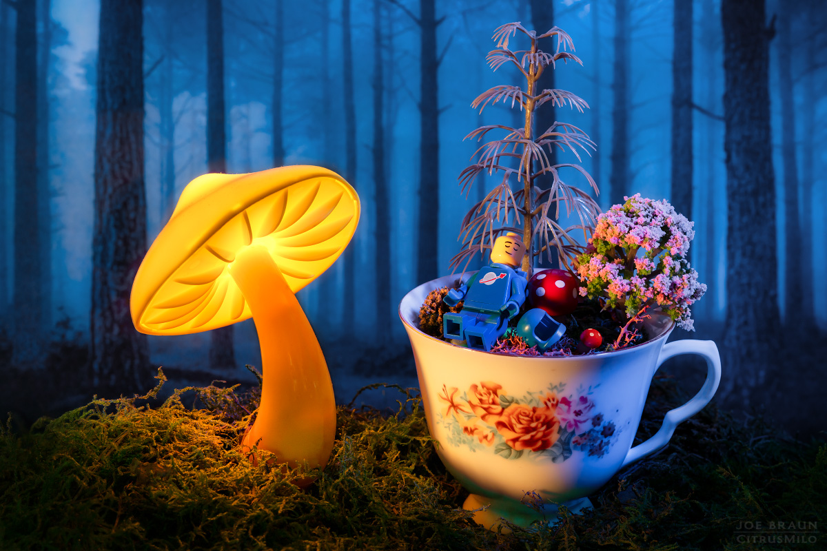 Lego Spacemen mushroom forest -- &copy; 2026 Joe Braun Photography