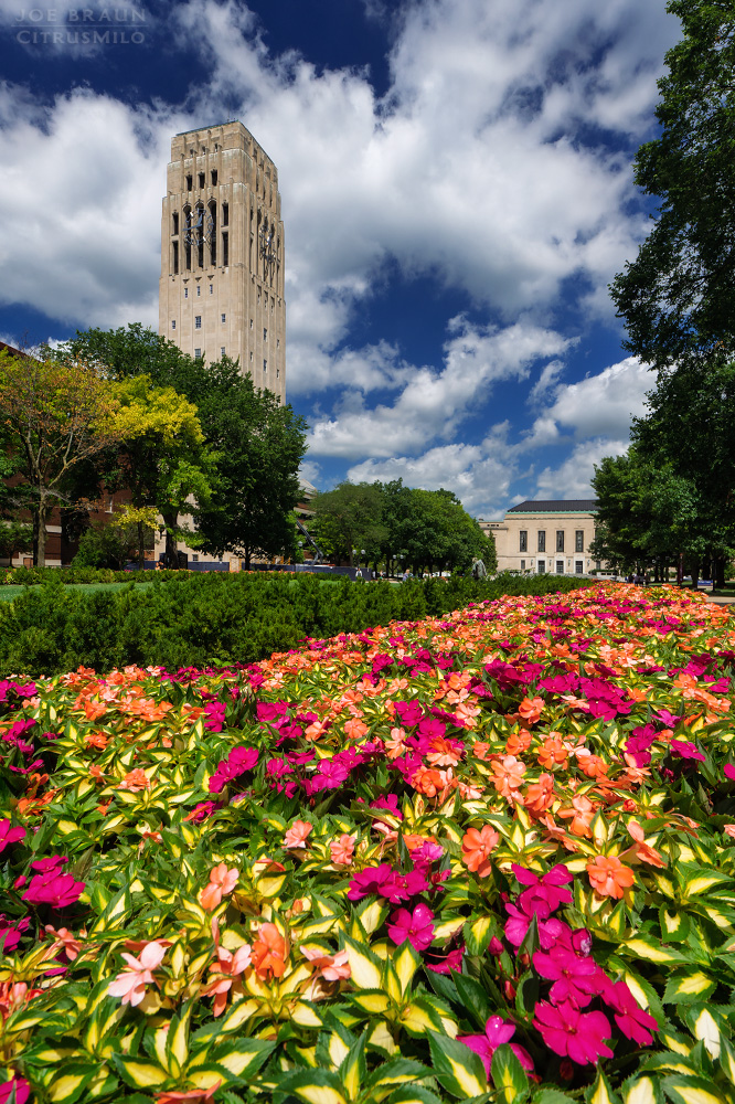 University of Michigan Burton Memorial Tower (Ann Arbor, Michigan) -- &copy; 2025 Joe Braun Photography