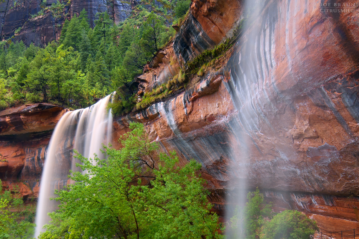 Middle Emerald Pools during a rainstorm (Zion National Park) -- © 2010 Joe Braun Photography