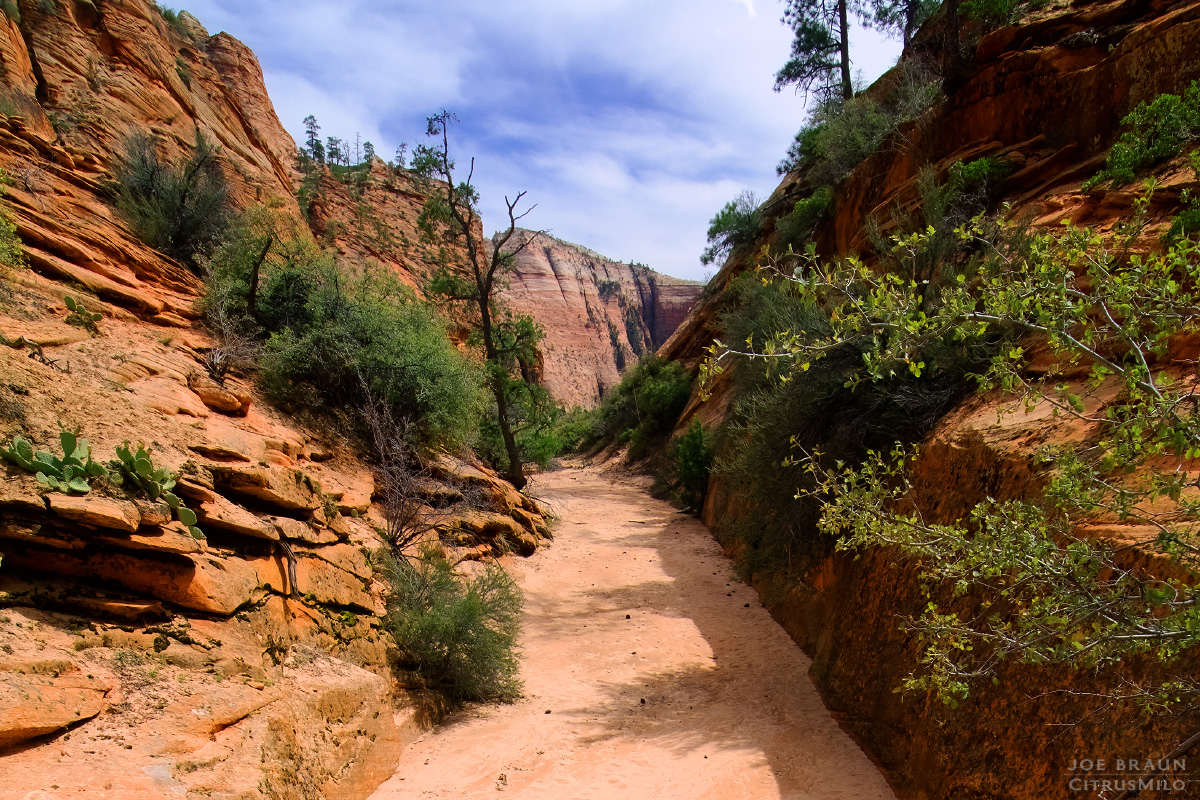 Upper Pine Creek photo (Zion National Park) -- &copy; 2010 Joe Braun Photography