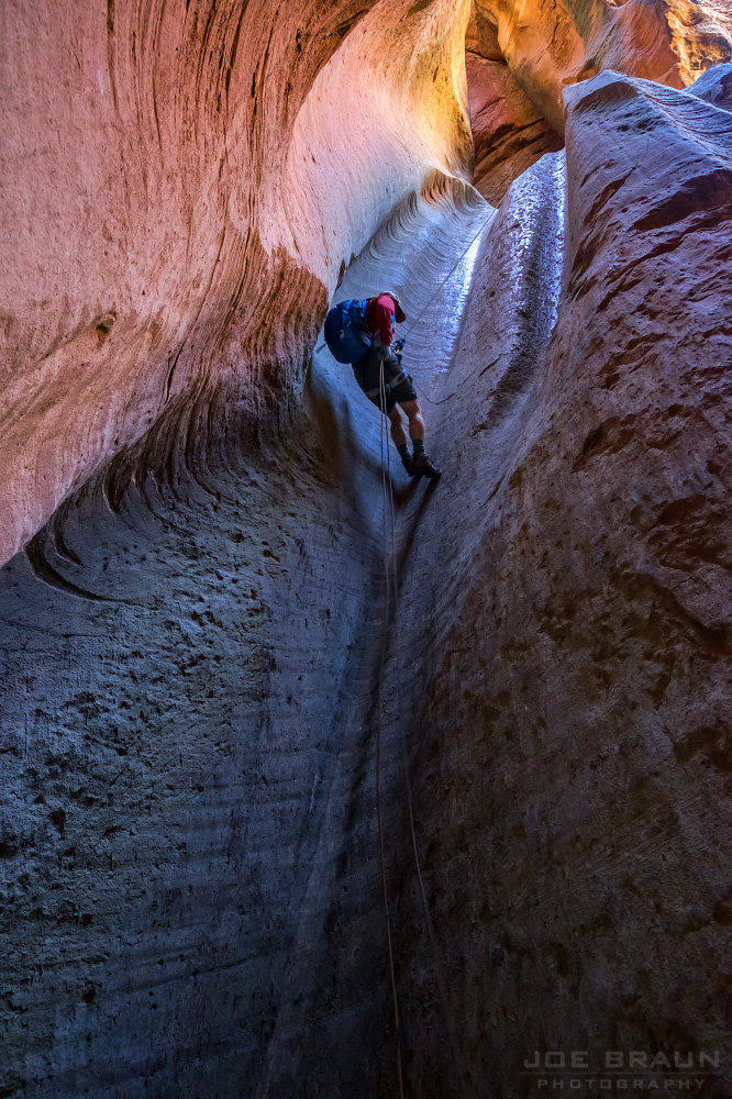 Birch Hollow (Zion National Park) -- © 2015 Joe Braun Photography