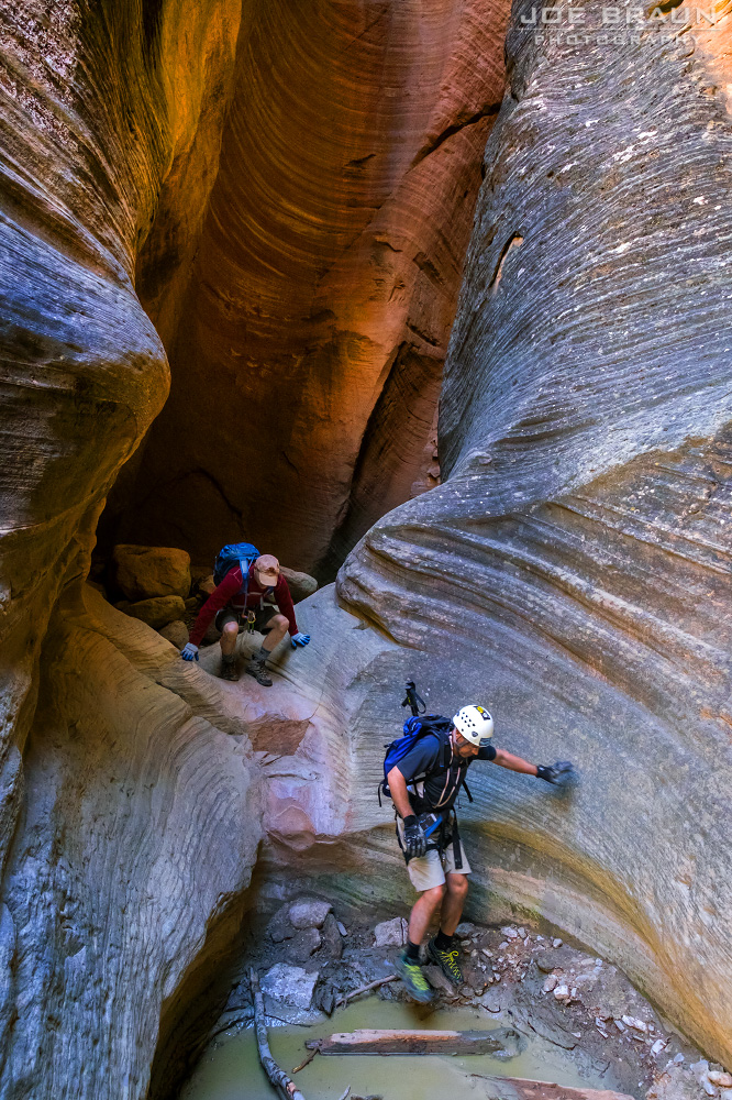 Birch Hollow (Zion National Park) -- © 2015 Joe Braun Photography
