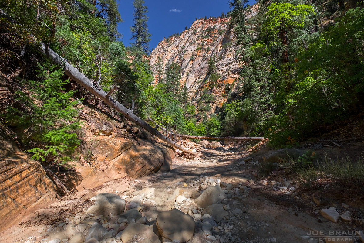 Birch Hollow (Zion National Park) -- © 2015 Joe Braun Photography