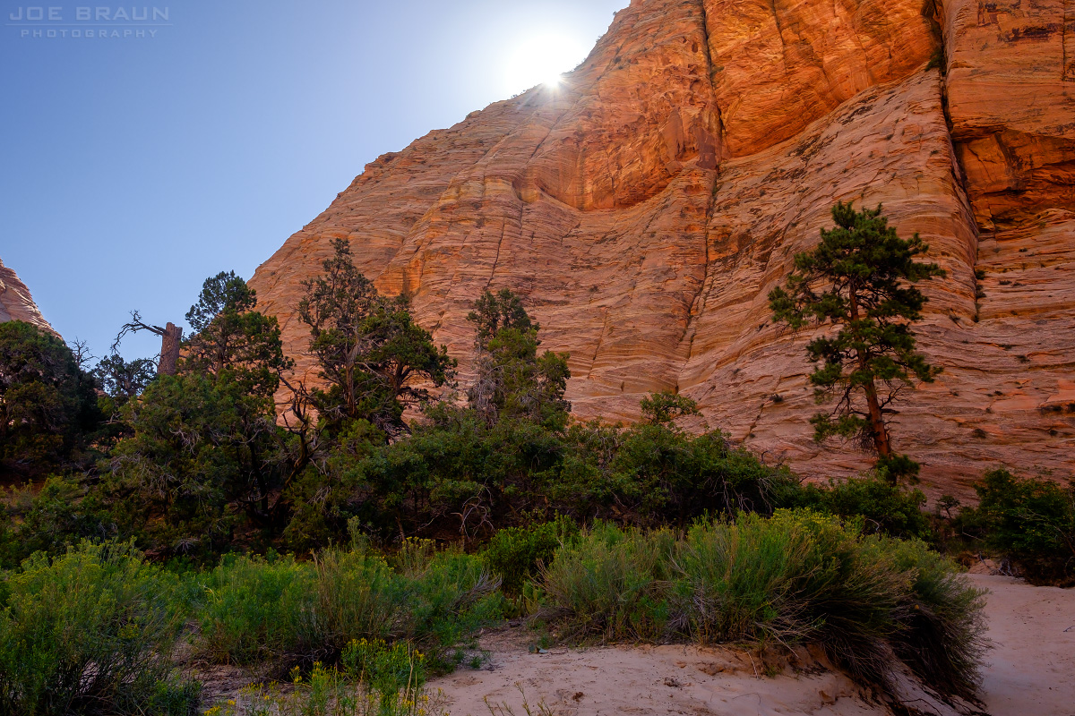 Spry Canyon (Zion National Park) -- &copy; 2016 Joe Braun Photography