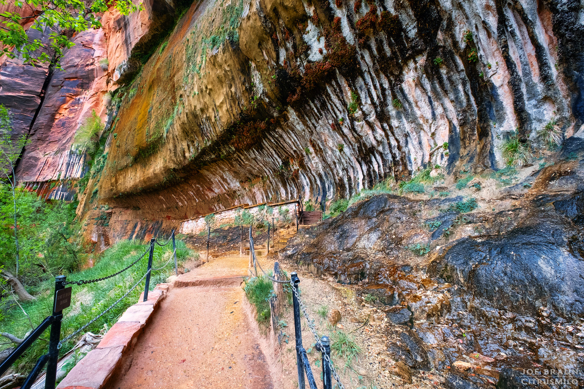 Weeping Rock photo (Zion National Park) -- &copy; 2016 Joe Braun Photography