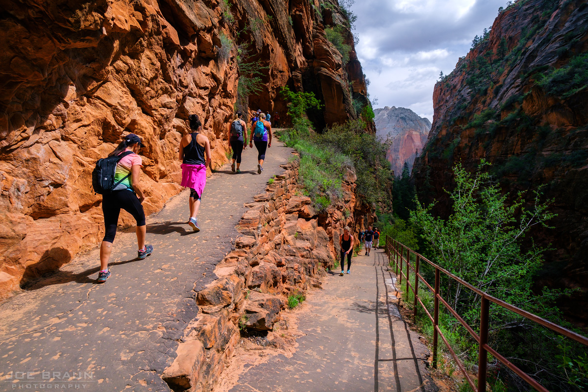 Hiking up the West Rim Trail in Refrigerator Canyon (Zion National Park) -- © 2016 Joe Braun Photography