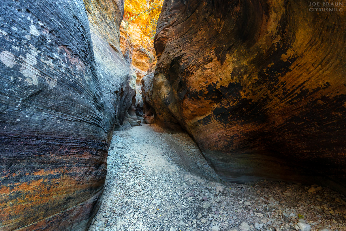Clear Creek photo (Zion National Park) -- &copy; 2019 Joe Braun Photography