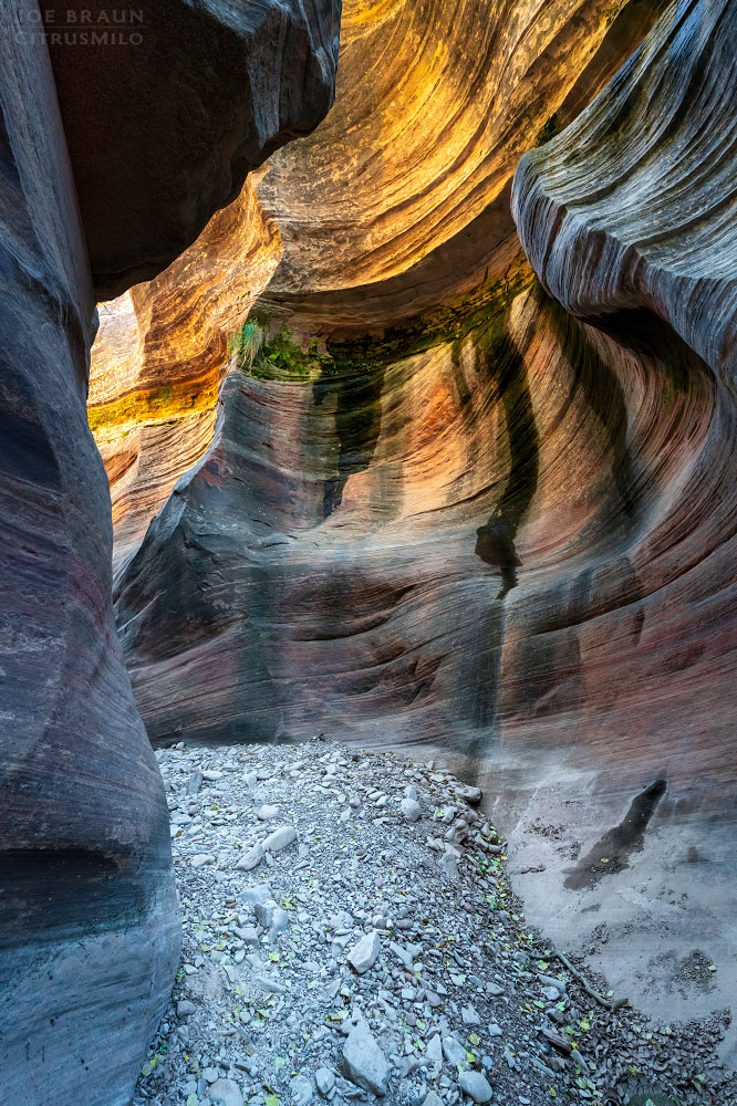 Clear Creek photo (Zion National Park) -- &copy; 2019 Joe Braun Photography