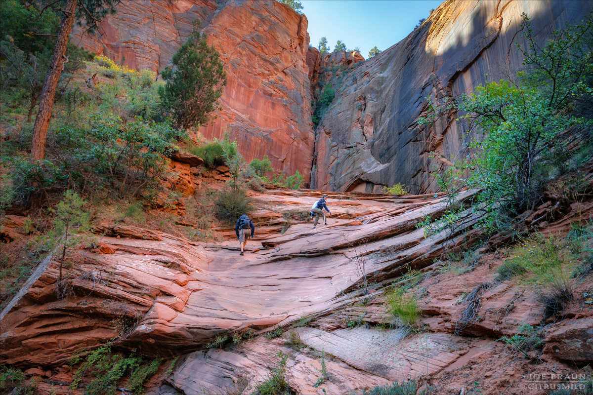 hiking up and out of French Canyon (Zion National Park) -- © 2023 Joe Braun Photography