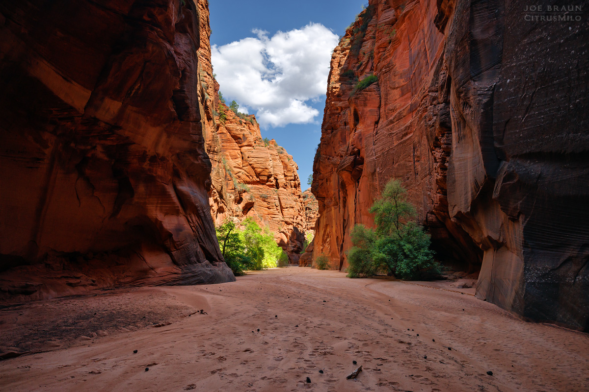 Rappelling into the double toilet bowls of Rock Canyon (Zion National Park) -- &copy; 2023 Joe Braun Photography