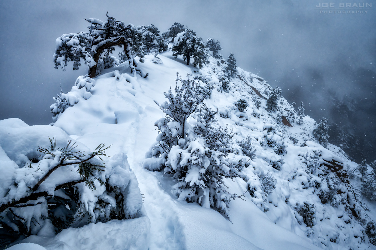 Angels Landing snowstorm hike (Zion National Park) -- &copy; 2024 Joe Braun Photography