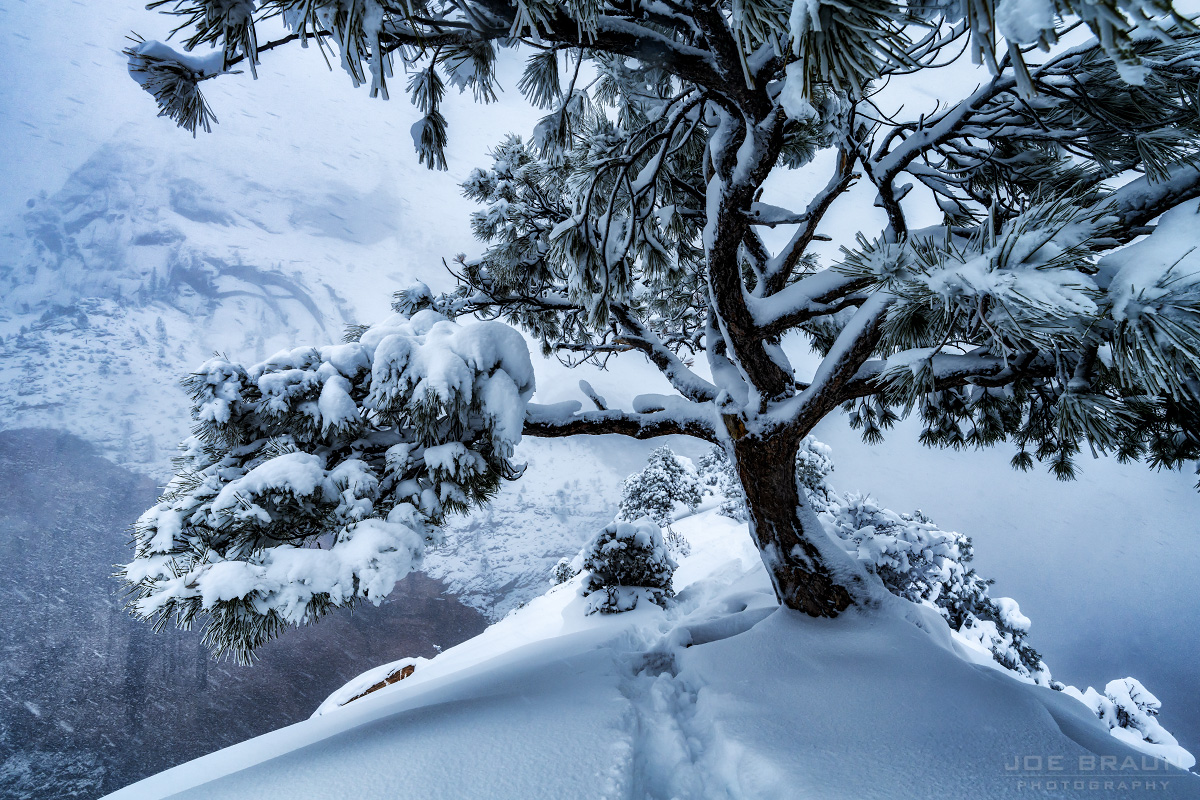 Angels Landing snowstorm hike (Zion National Park) -- &copy; 2024 Joe Braun Photography