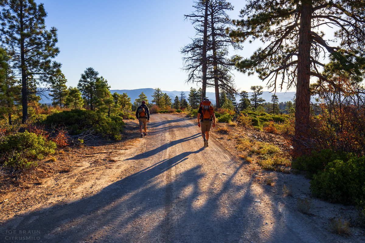 Boundary Canyon photo (Zion National Park) -- &copy; 2024 Joe Braun Photography