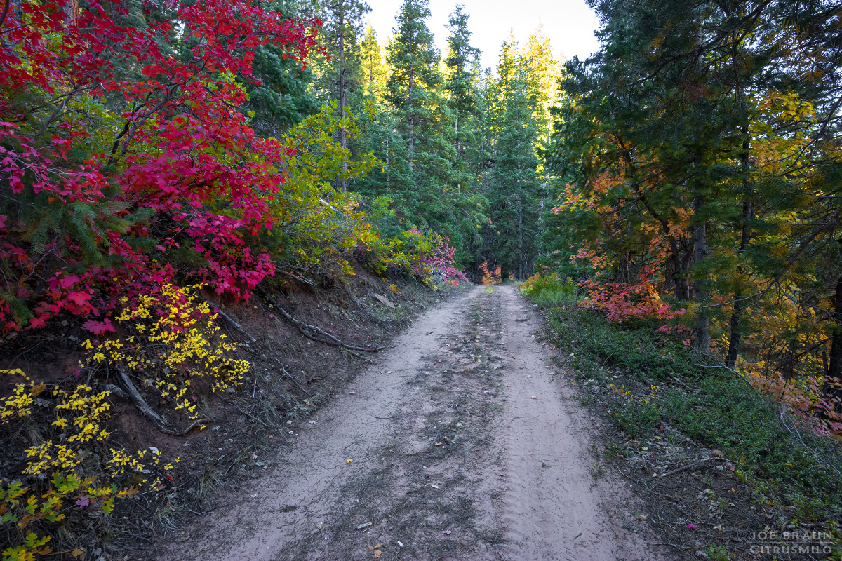 Boundary Canyon photo (Zion National Park) -- &copy; 2024 Joe Braun Photography