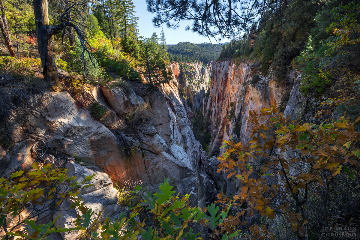 Boundary Canyon photo (Zion National Park) -- &copy; 2024 Joe Braun Photography