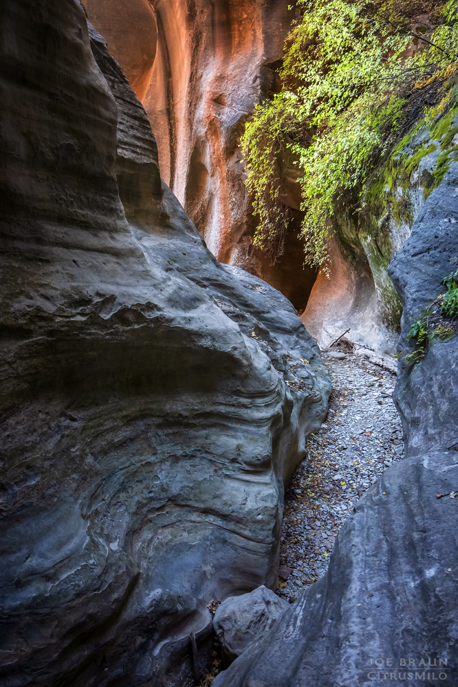 Boundary Canyon photo (Zion National Park) -- &copy; 2024 Joe Braun Photography