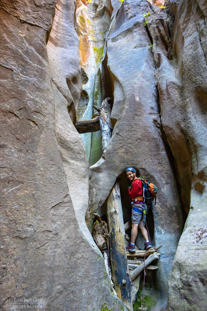 Boundary Canyon photo (Zion National Park) -- &copy; 2024 Joe Braun Photography