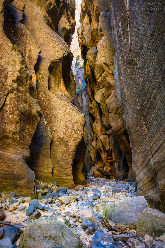 beautiful narrows in Lower Kolob Creek (Zion National Park) -- &copy; 2024 Joe Braun Photography