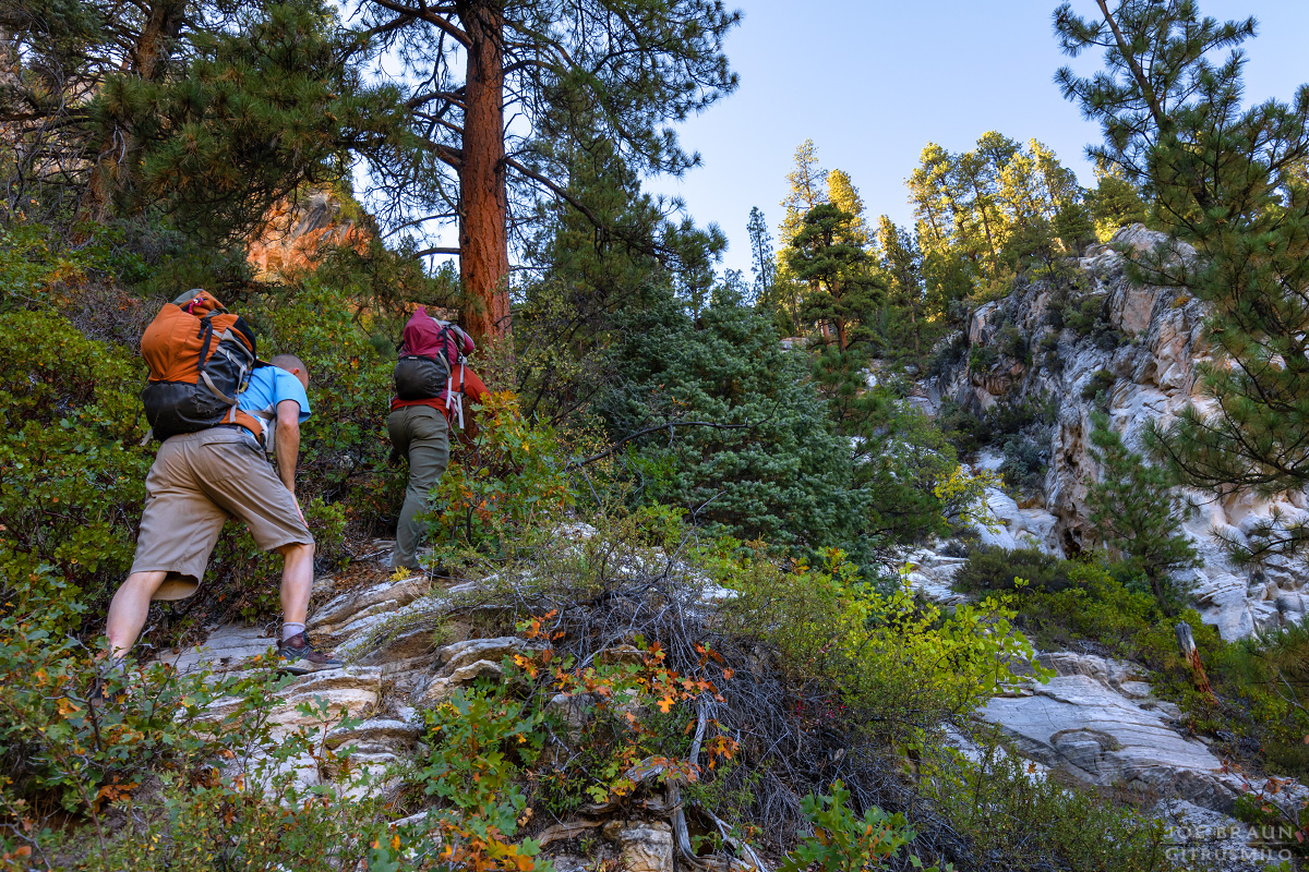 the dreaded MIA exit hike (Zion National Park) -- &copy; 2024 Joe Braun Photography