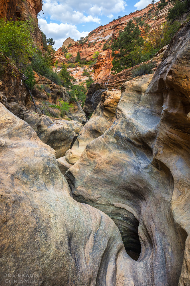 Middle Pine Creek photo (Zion National Park) -- &copy; 2024 Joe Braun Photography