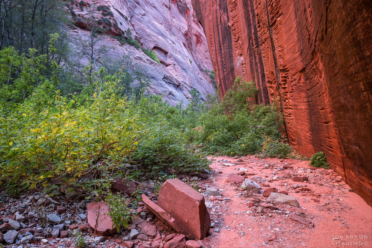 South Fork of Taylor Creek photo (Zion National Park) -- &copy; 2024 Joe Braun Photography