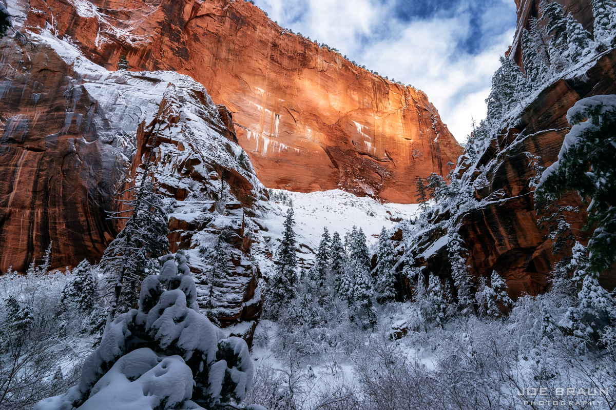 Zion National Park winter snow (Zion National Park) -- © 2024 Joe Braun Photography