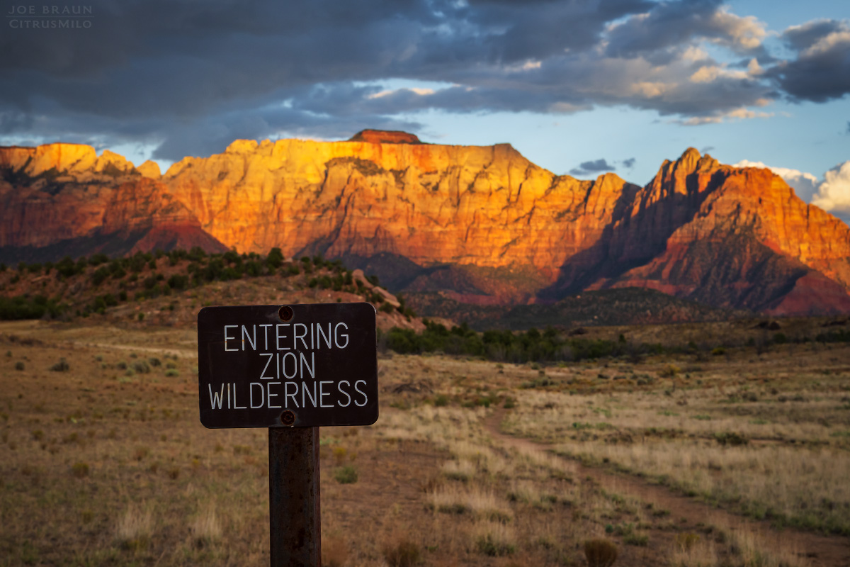 Guacamole Trail photo (Zion National Park) -- © 2025 Joe Braun Photography