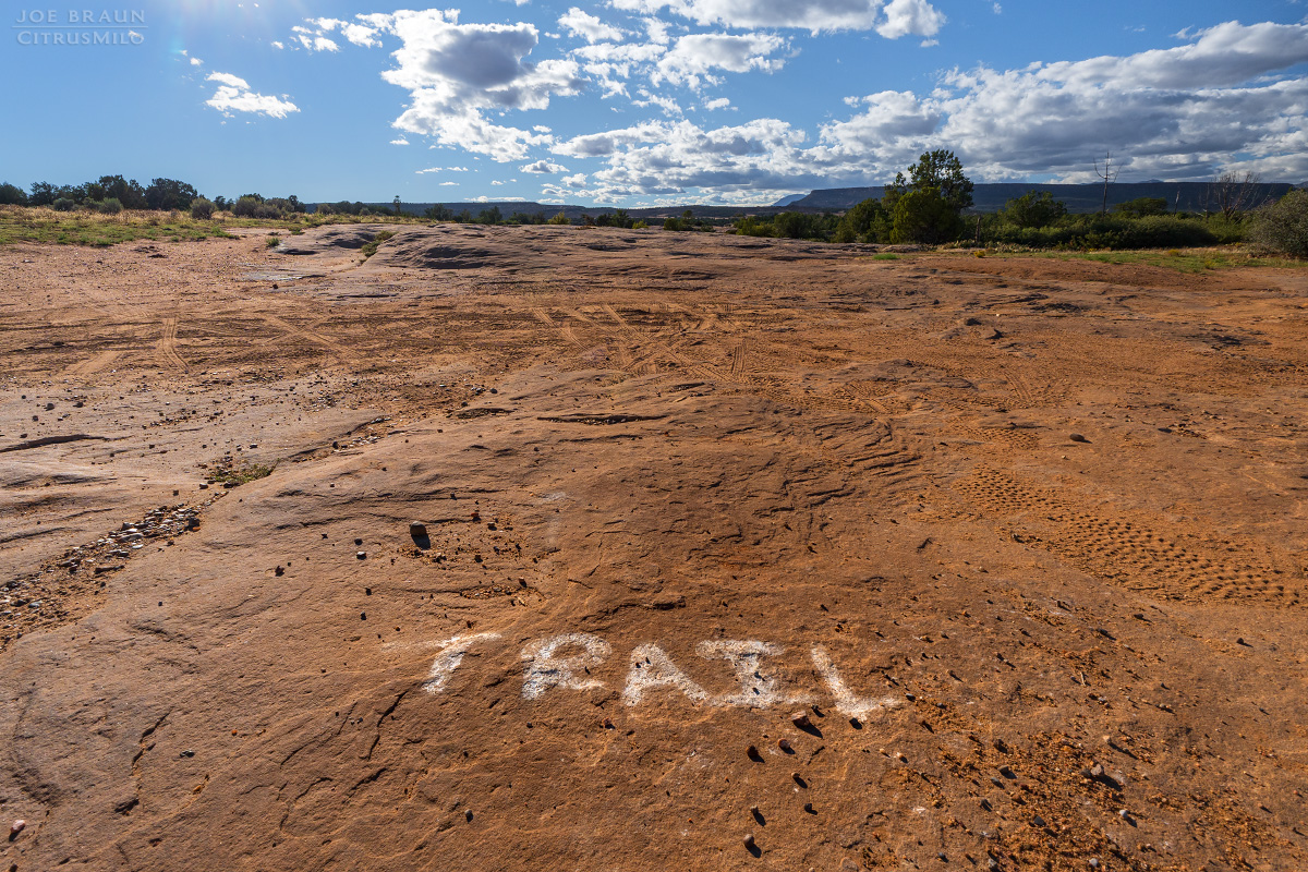 Guacamole Trail photo (Zion National Park) -- © 2025 Joe Braun Photography