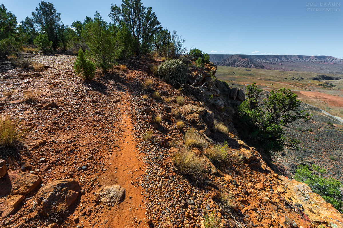 Guacamole Trail photo (Zion National Park) -- © 2025 Joe Braun Photography