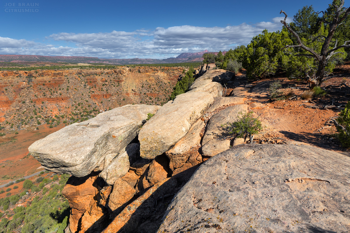 Guacamole Trail photo (Zion National Park) -- © 2025 Joe Braun Photography