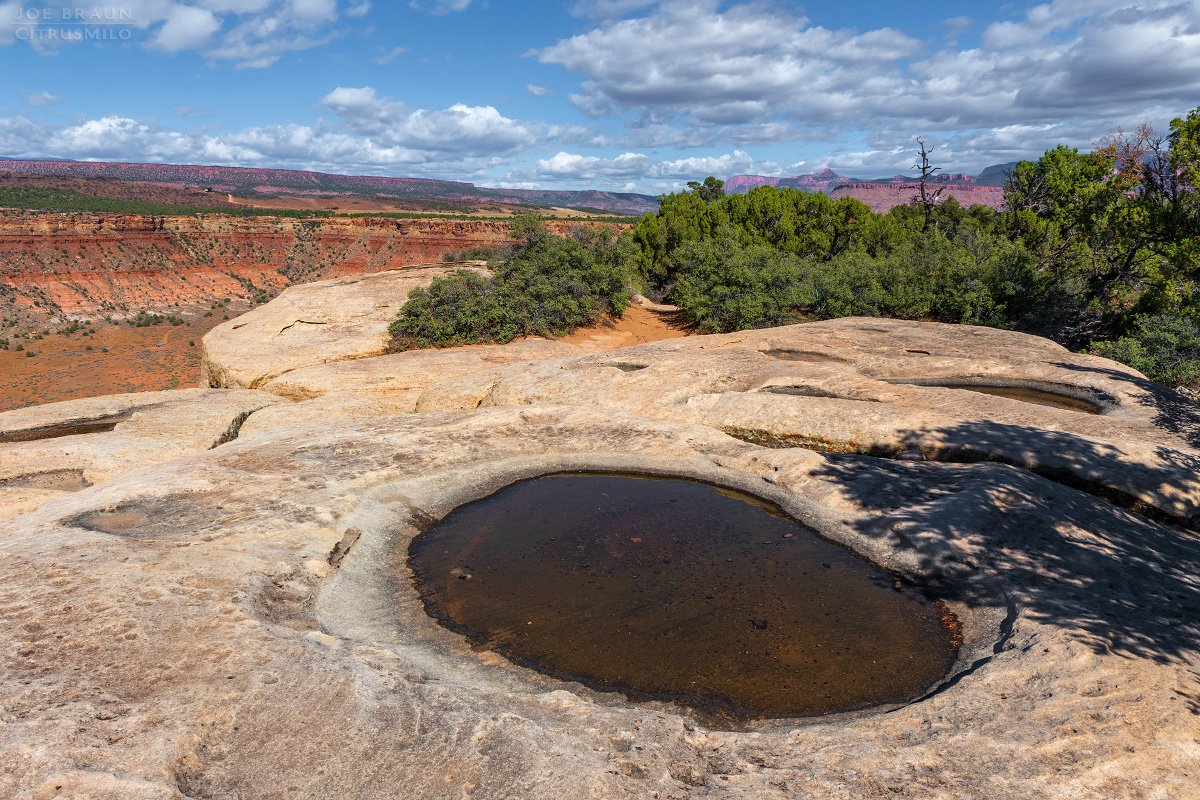 Guacamole Trail photo (Zion National Park) -- © 2025 Joe Braun Photography