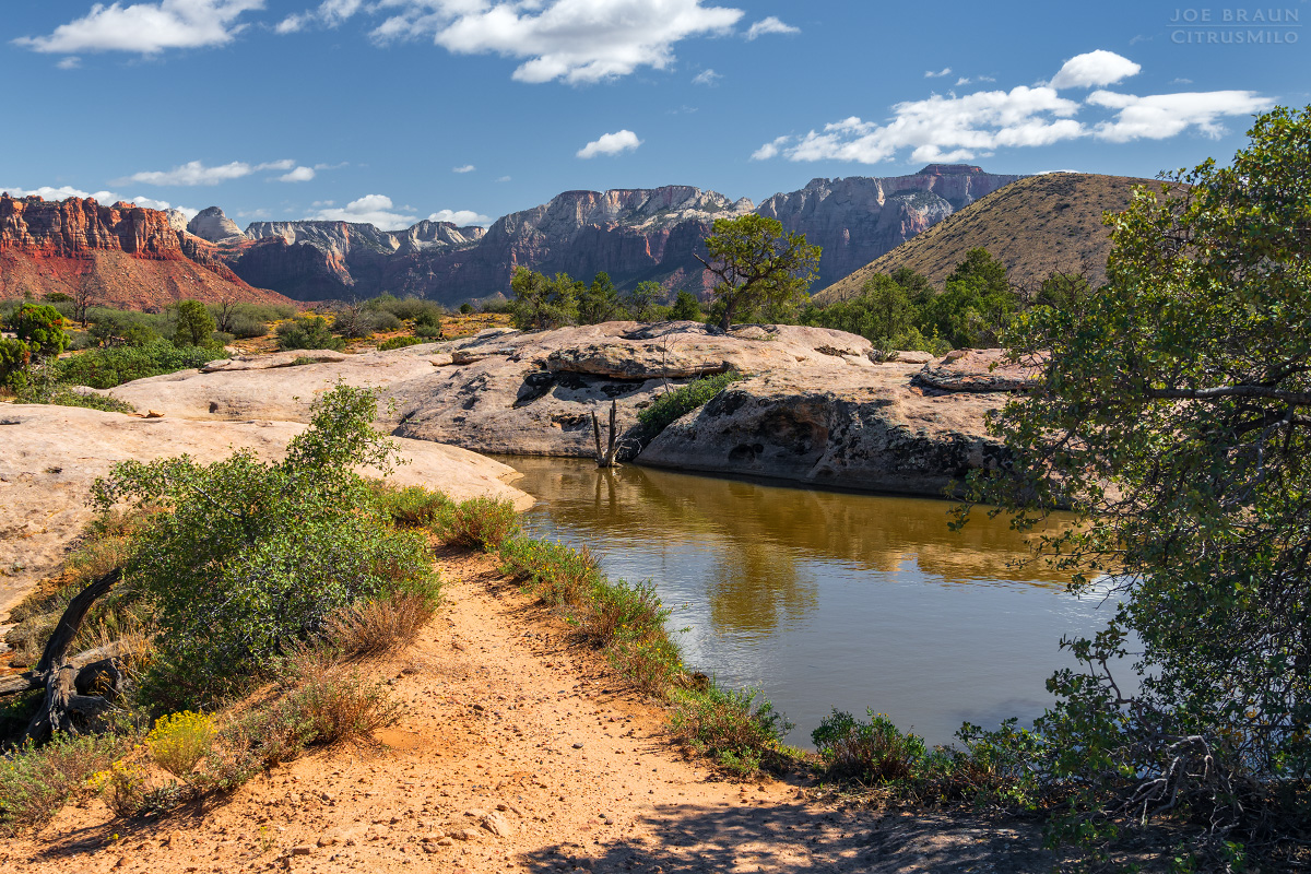Guacamole Trail photo (Zion National Park) -- © 2025 Joe Braun Photography