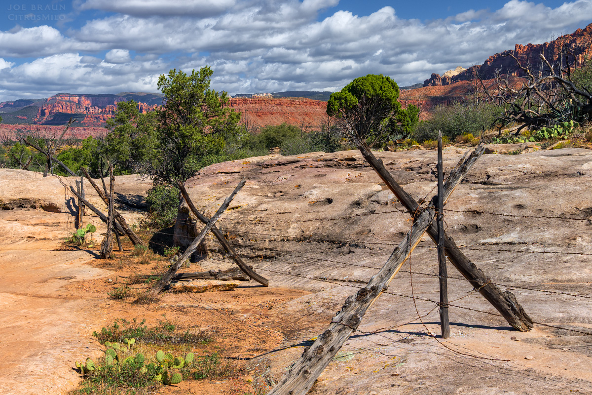 Guacamole Trail photo (Zion National Park) -- © 2025 Joe Braun Photography