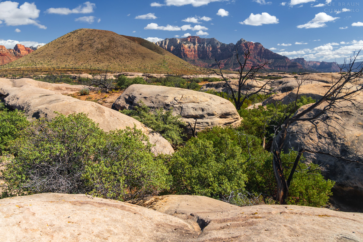 Guacamole Trail photo (Zion National Park) -- © 2025 Joe Braun Photography
