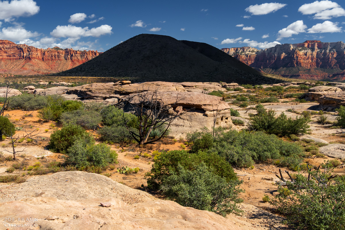 Guacamole Trail photo (Zion National Park) -- © 2025 Joe Braun Photography