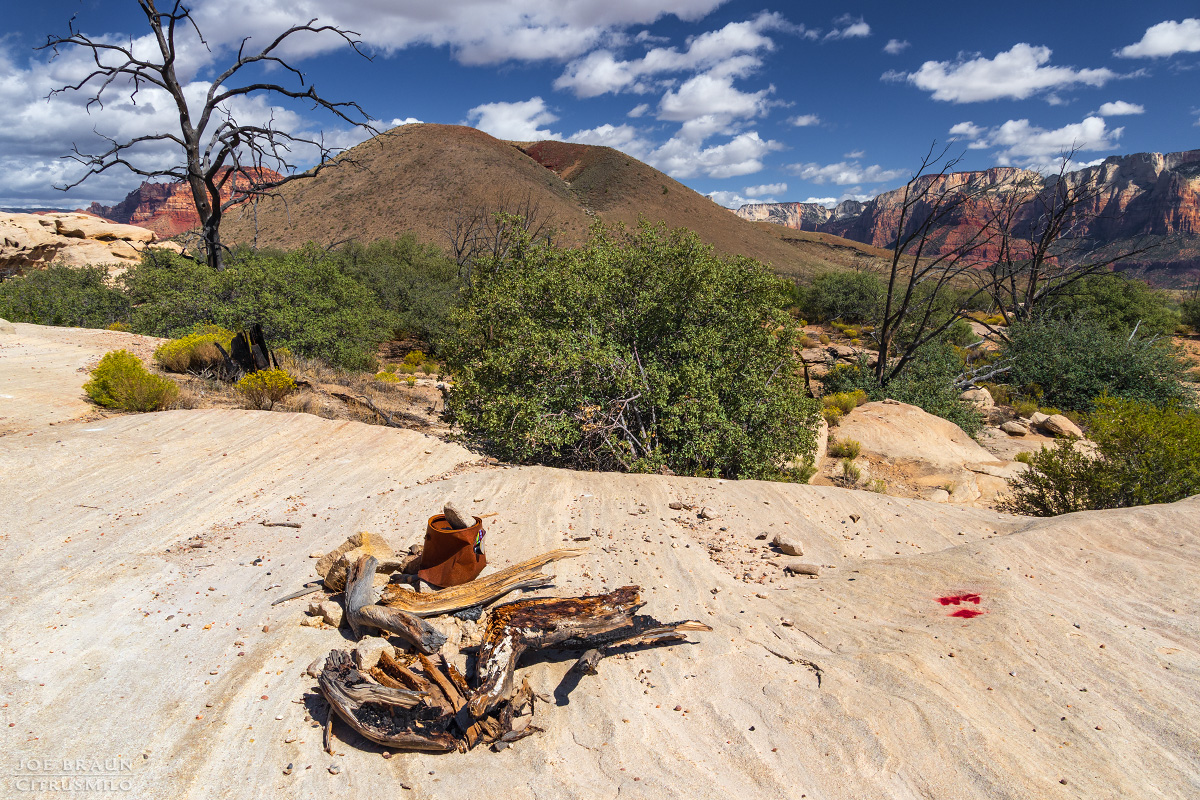 Guacamole Trail photo (Zion National Park) -- © 2025 Joe Braun Photography