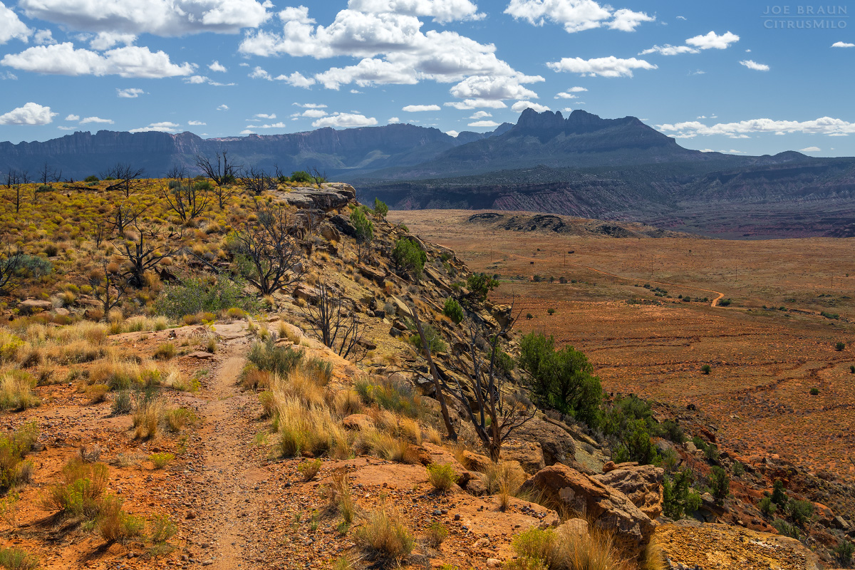 Guacamole Trail photo (Zion National Park) -- © 2025 Joe Braun Photography